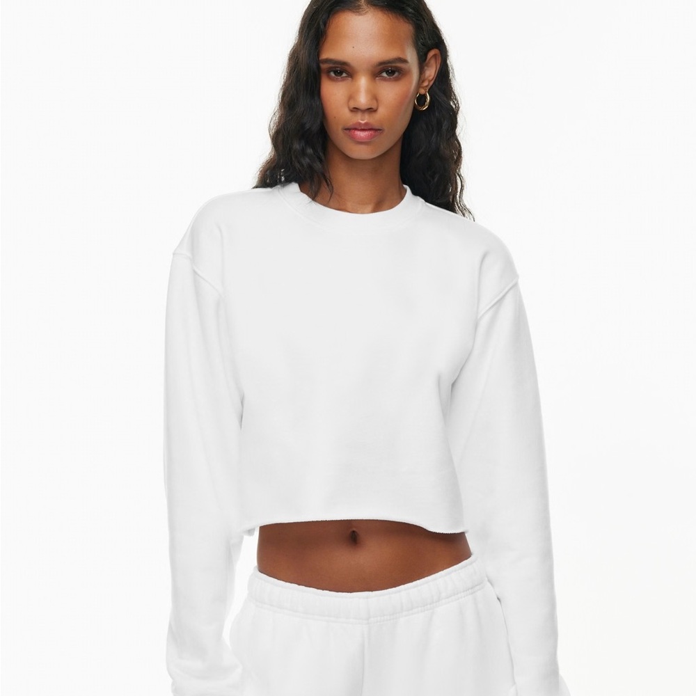 Grey Aritzia TNA Cropped Sweatshirt Size Medium